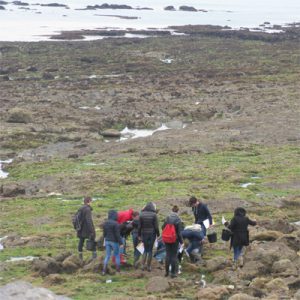 Les biologistes de l'ICES sur le terrain