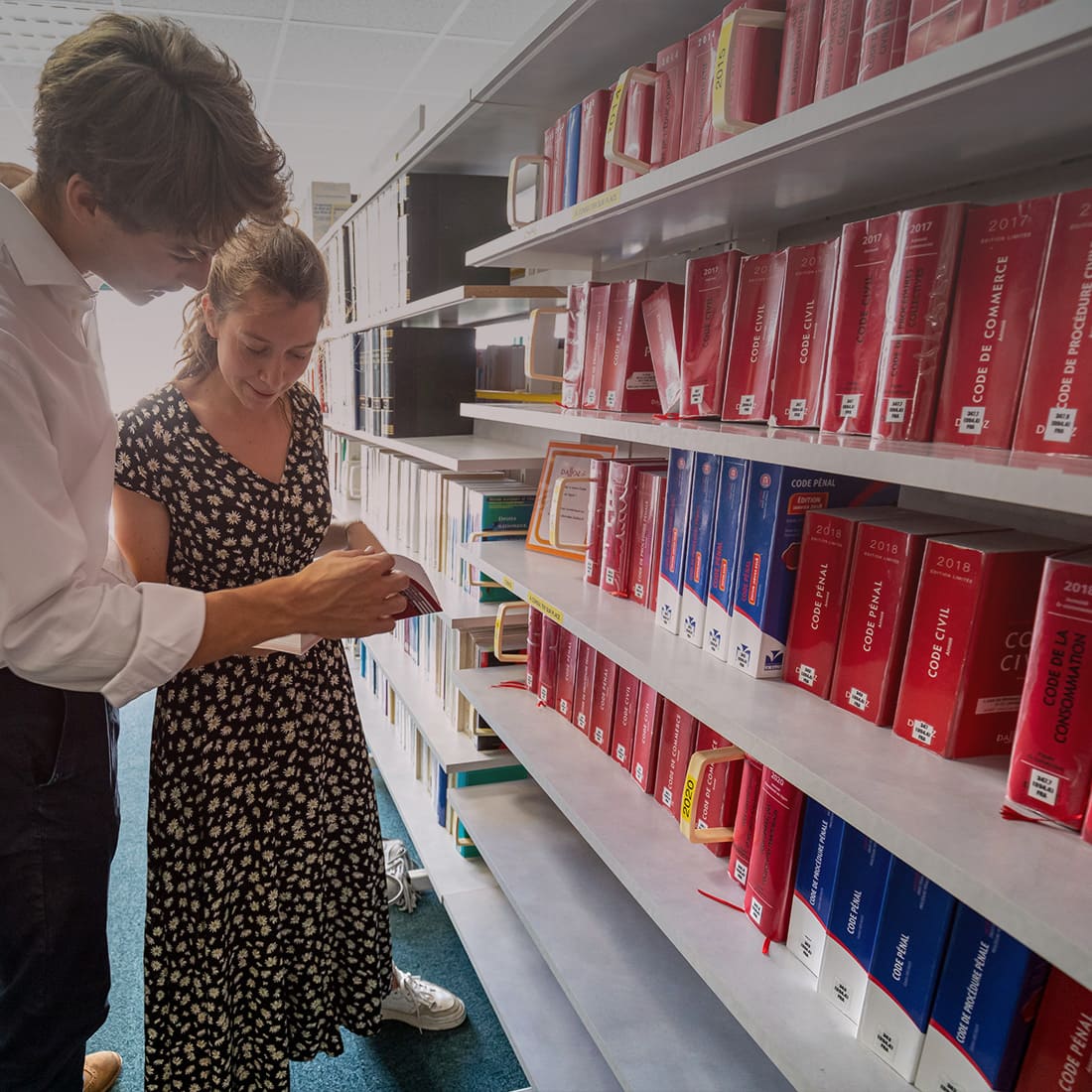 ICES : Licence de droit