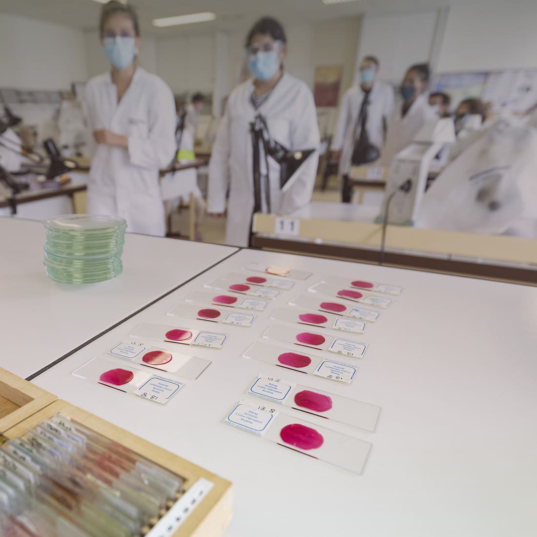 ICES : licence Sciences pour la santé
