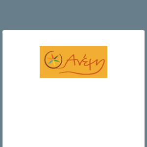 visuel Anemi