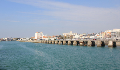 L'ICES est au coeur du département de la Vendée, bien connu pour ses divers paysages : du littoral au bocage