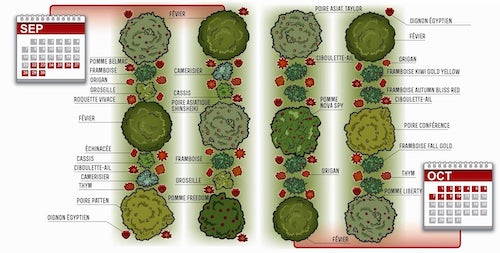 Type de disposition d'un verger en permaculture